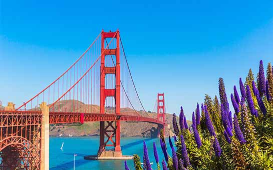 California Vacation Travel Insurance